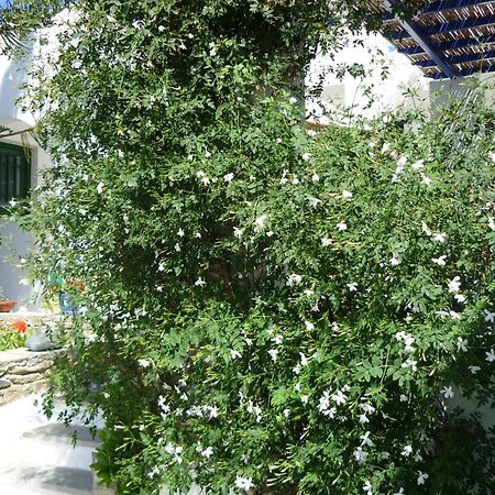Porto Vlastos Agios Ioannis  Eksteriør bilde