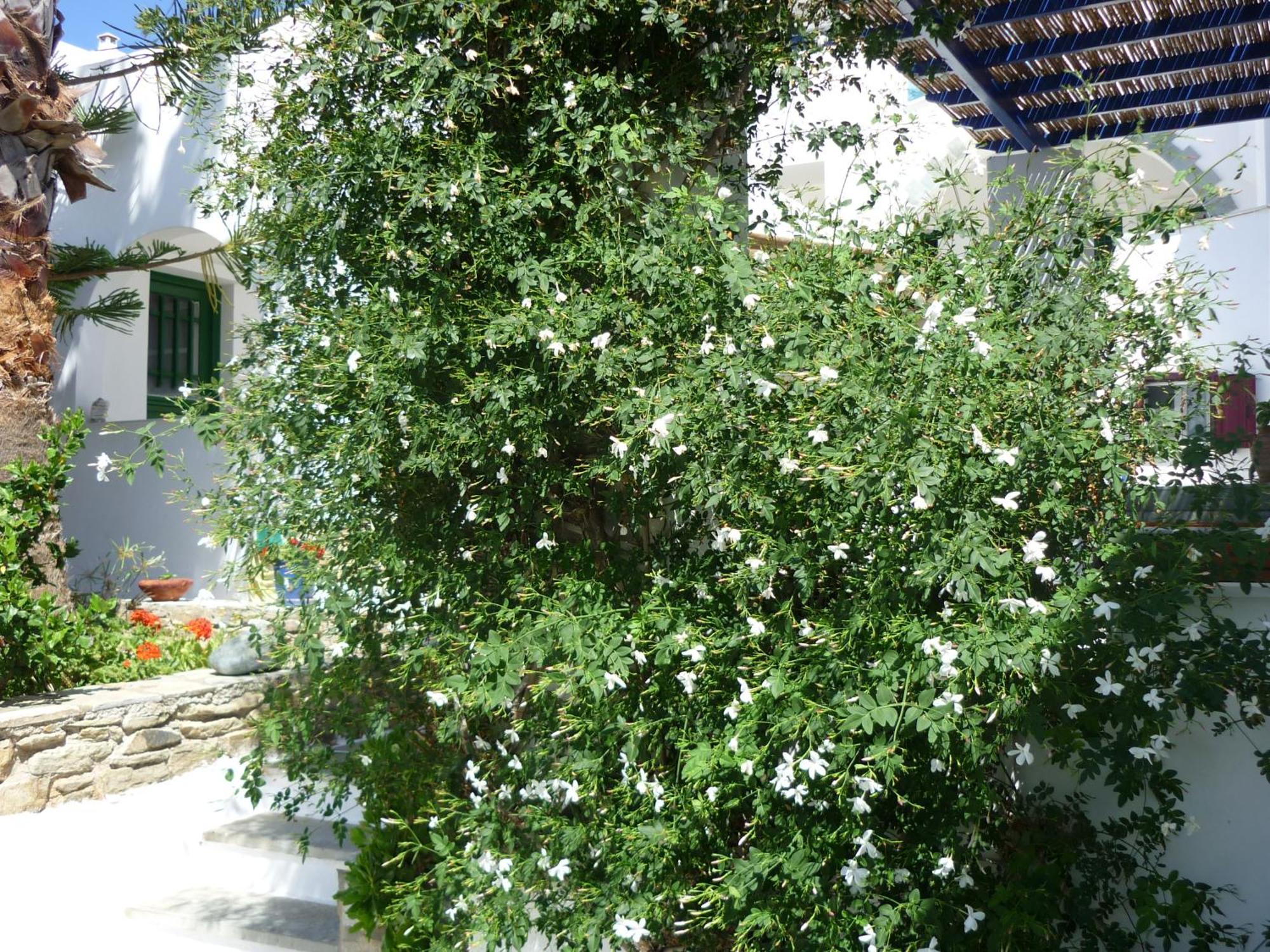 Porto Vlastos Agios Ioannis  Eksteriør bilde